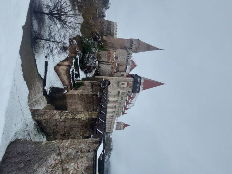 From Brasov: Corvin Castle and Sibiu (Optional Sighisoara) - Practical Details: Logistics and Inclusions