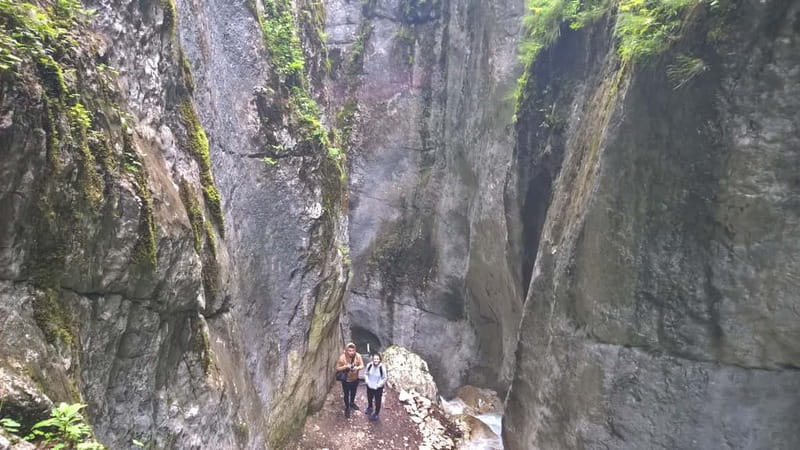 From Brasov: Day Trip to the Seven Ladders Canyon - What’s Included and What’s Not