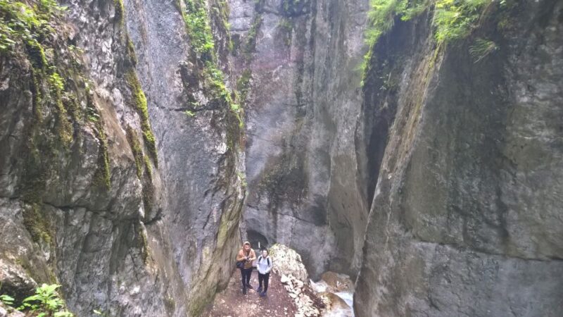 From Brasov: Day Trip to the Seven Ladders Canyon - Practical Tips for the Hike