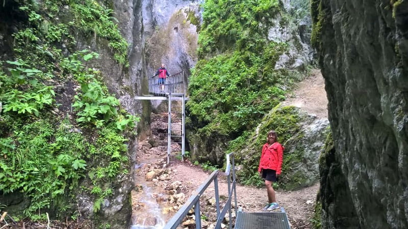 From Brasov: Day Trip to the Seven Ladders Canyon - Flexibility and Cancellation Policy