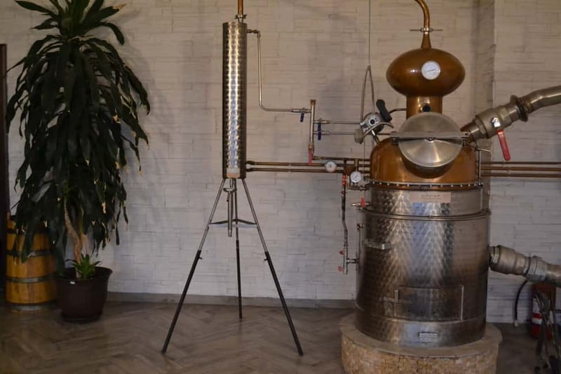 From Brasov: Guided Full-day Hidden tales of Rasnov tour - Exploring Fortress Valley Cave: Romania’s Youngest Show Cave