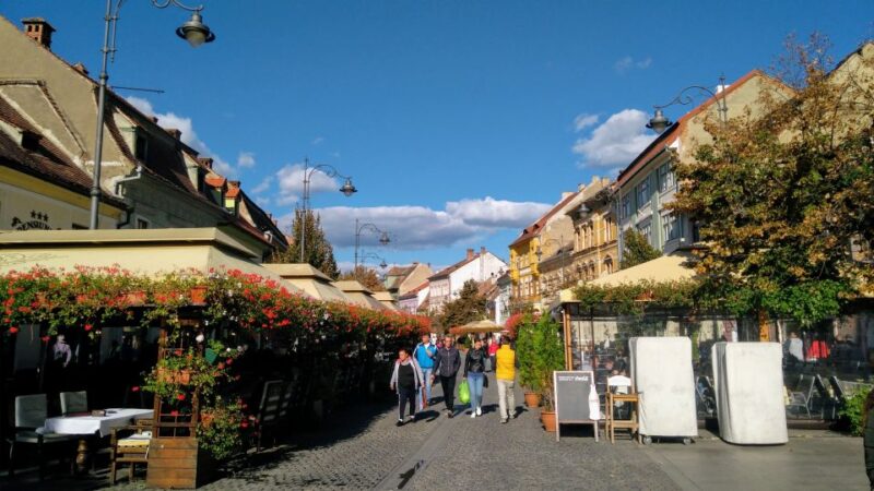 From Brasov: Guided Sighisoara and Sibiu Private Day Trip - The Guide’s Role and Experience