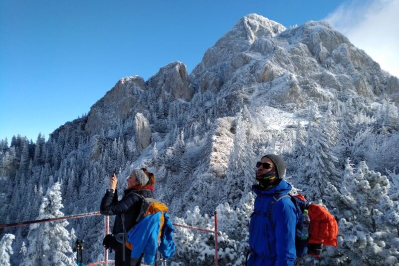 From Brasov: Piatra Craiului National Park 2-Day Guided Trek - Climbing to Vârful La Om and Reaching the Highest Peak