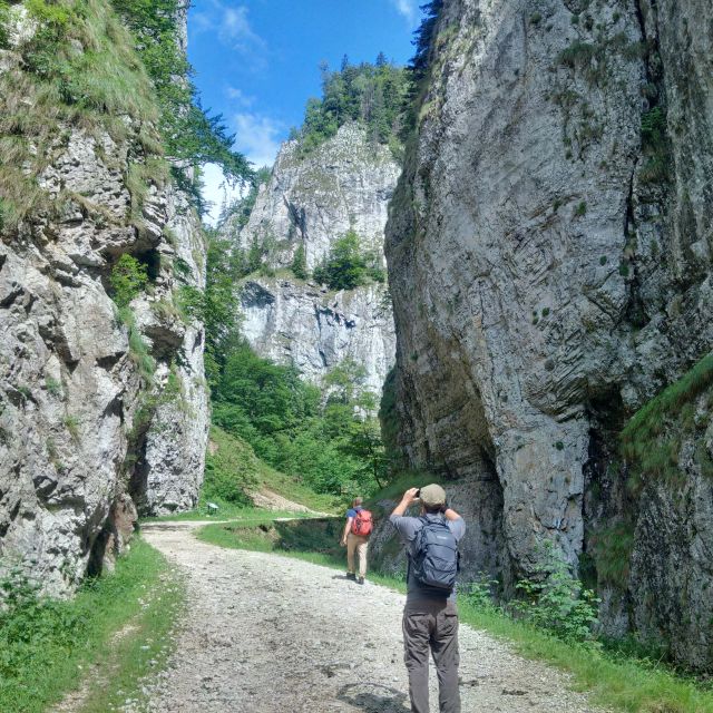 From Brasov: Piatra Craiului National Park 2-Day Guided Trek - Inside the Eco-Romania Certified Experience