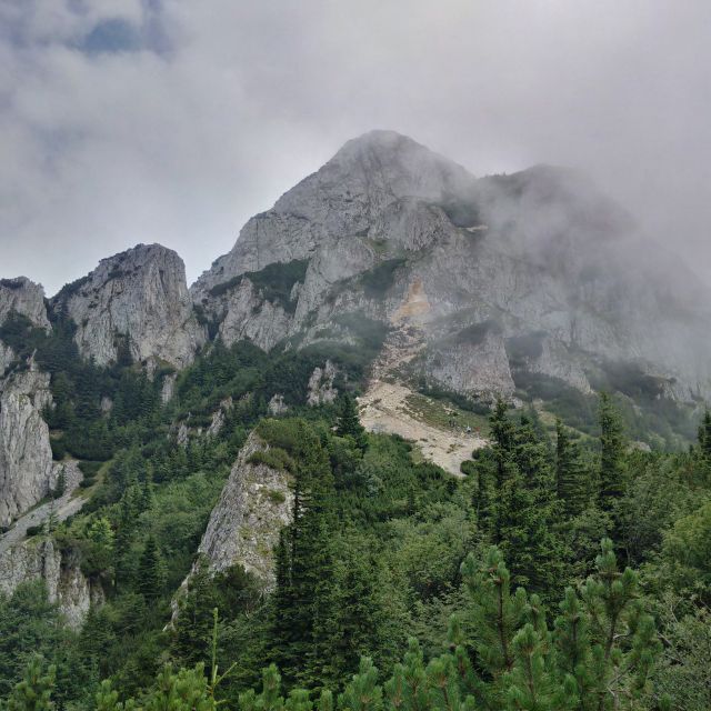 From Brasov: Piatra Craiului National Park 2-Day Guided Trek - Who Should Consider This Adventure