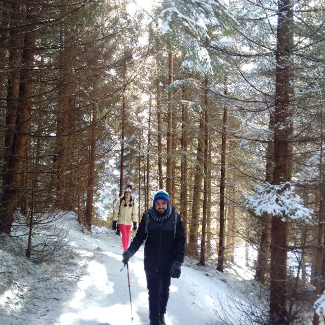 From Brasov: Piatra Craiului National Park Private Day Tour - The Unique Appeal of Piatra Craiului National Park