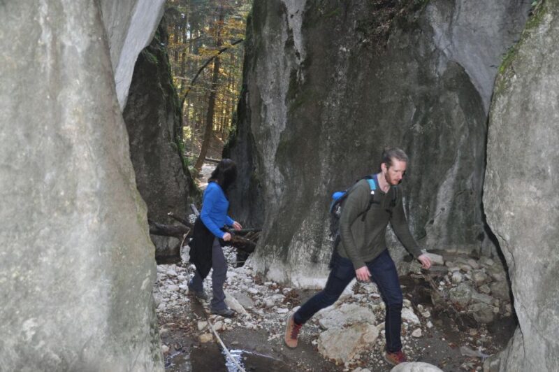 From Brasov: Piatra Craiului National Park Private Day Tour - The Highlights of the Mountain Trails