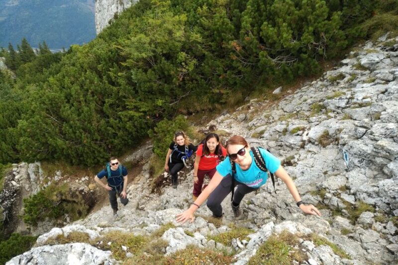 From Brasov: Piatra Craiului National Park Private Day Tour - Physical Requirements and Accessibility
