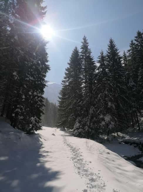 From Brasov: Piatra Craiului Snowshoeing Tour - Discover the Piatra Craiului Snowshoeing Adventure from Brasov