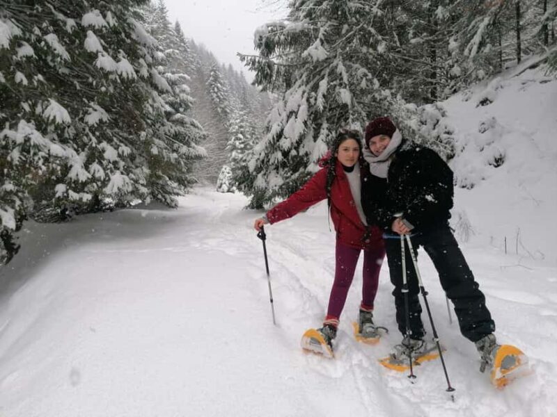 From Brasov: Piatra Craiului Snowshoeing Tour - Key Points