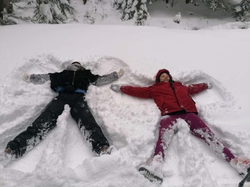 From Brasov: Piatra Craiului Snowshoeing Tour - Exploring the Snow-Covered Forests and Hills