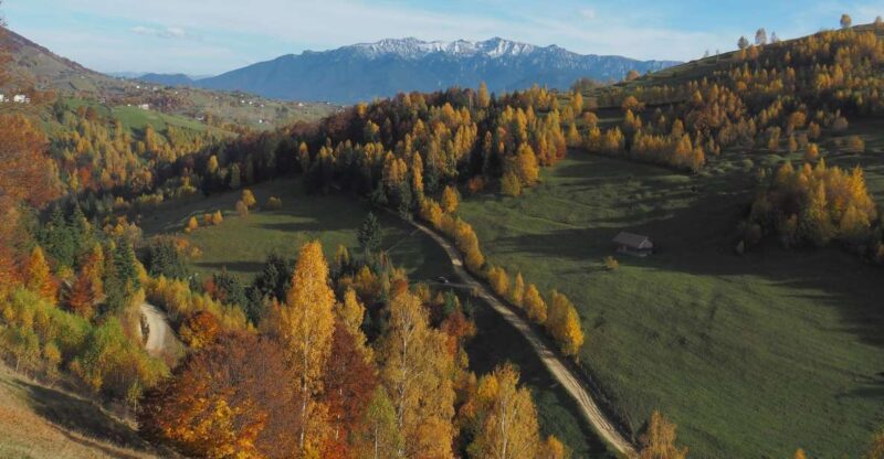 From Brasov: Romanian Mountain Villages Day Tour - Guided Trekking in the Hills and Meadows