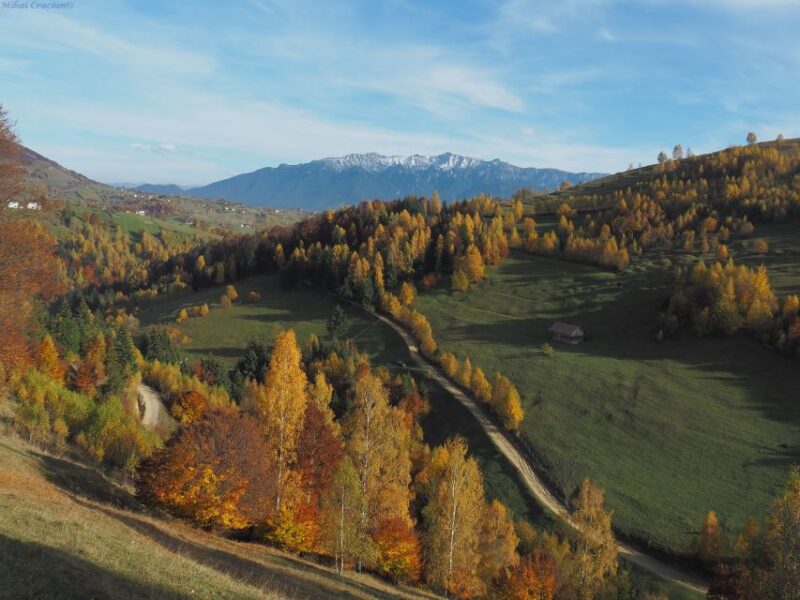 From Brasov: Romanian Mountain Villages Day Tour - The Sum Up: Authentic Rural Romania in a Day