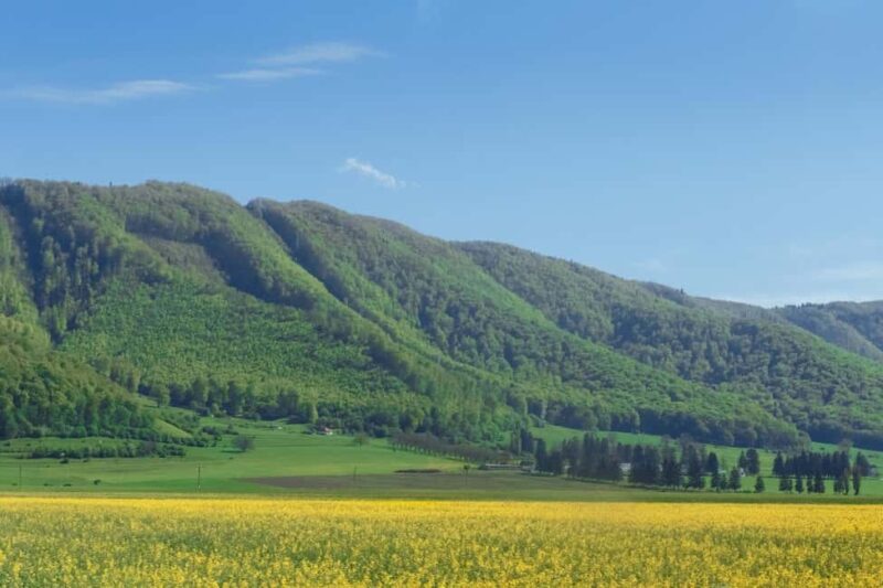 From Brasov  Transylvania Day Tour: Noble Heritage - Discovering Renaissance Art and Coats of Arms in Vârghi