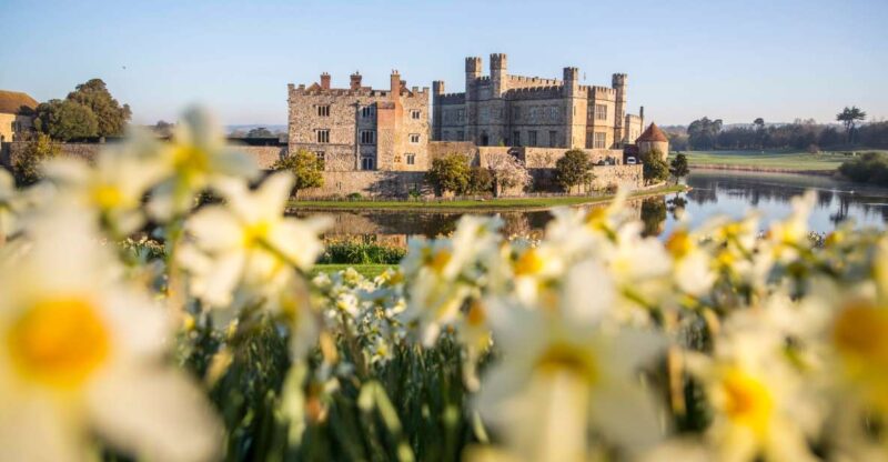 From Brighton: Leeds Castle & Canterbury Full-Day Trip - How the Tour Compares to Similar Experiences