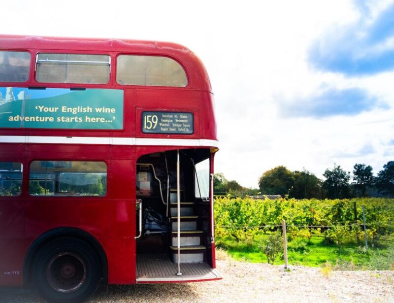 From Brighton: Sussex Wine Tour on a Vintage Bus with Lunch - Learning from Expert Vineyard Managers and Guides