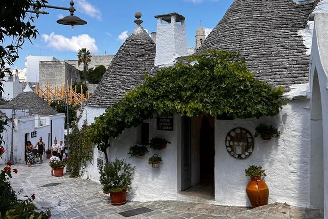 From Brindisi. Ostuni, Alberobello and Polignano a Mare Tour - Practical Tips and Important Details