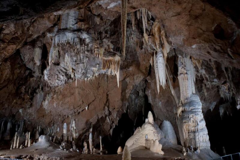 From Brno: Macocha Abyss and Punkva Caves Easy & Guided Tour - The Comfort of a Small-Group, Fully Guided Experience