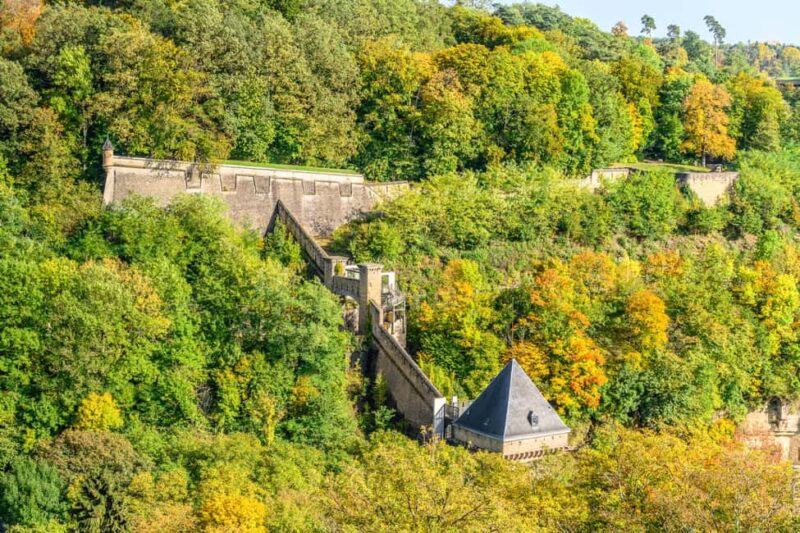 From Brussels: Luxembourg City Day Trip with Private Guide - Natural Beauty and Scenic Views in Luxembourg City