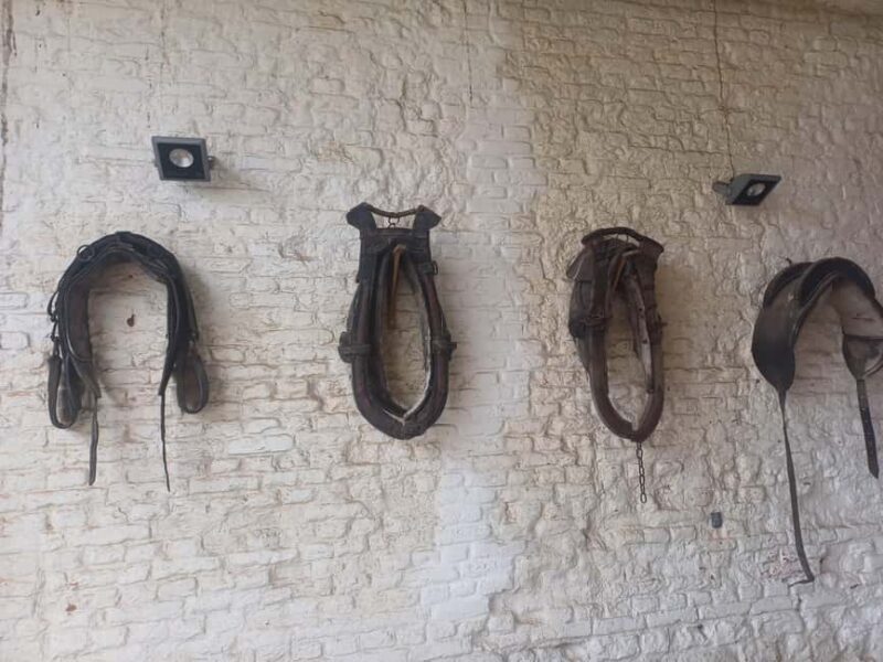 "From Brussels: Waterloo Battlefield History Private Tour - Exploring Wellington’s Headquarters at Papelotte Farm