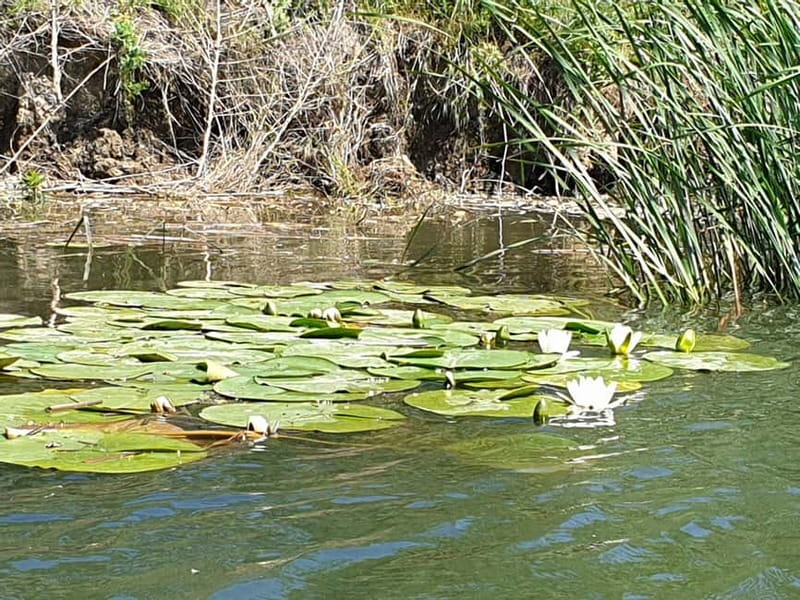 From Bucharest: 2-Day Danube Delta Wonders Small Group Tour - Key Points