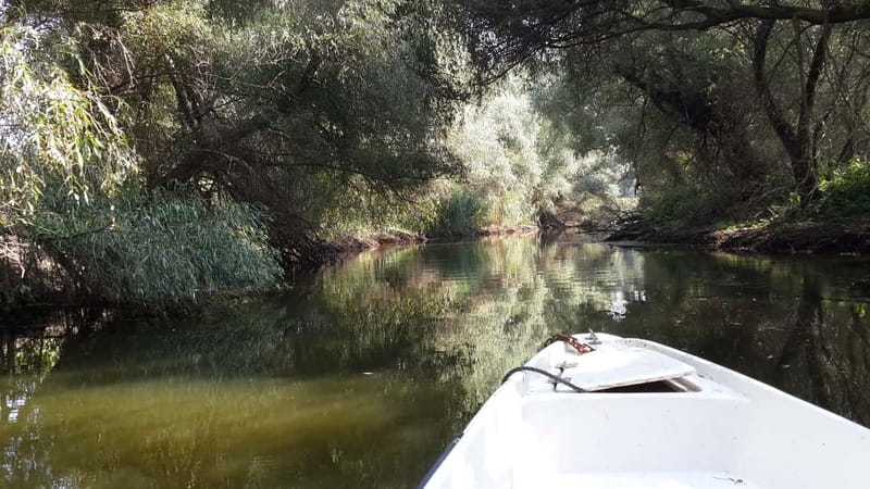 From Bucharest: 3-Day Danube Delta Birdwatching Private Tour - Staying in Authentic Romanian Villages