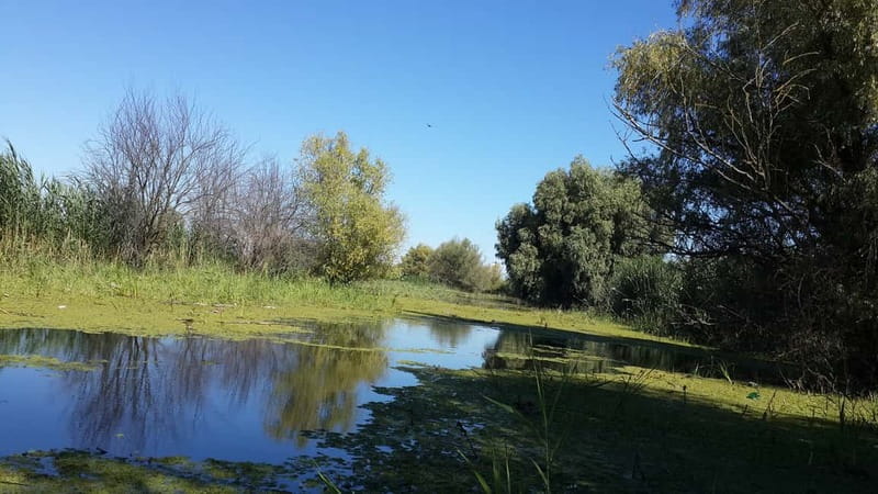 From Bucharest: 3-Day Danube Delta Birdwatching Private Tour - Visiting the Danube Delta Museum in Tulcea