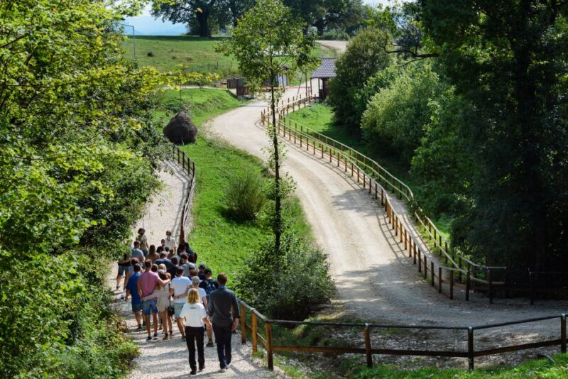 From Bucharest: Bear Sanctuary and Dracula Castle Day Tour - The Experience of the Guides and Reviews