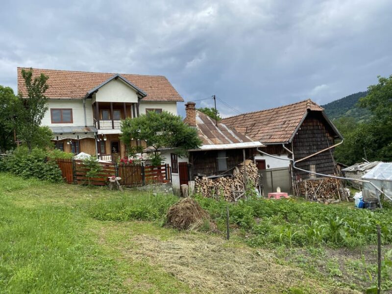 From Bucharest: Boutique Wine Tasting Private Day Trip - Explore Romania’s Boutique Wineries on a Private Day Trip from Bucharest