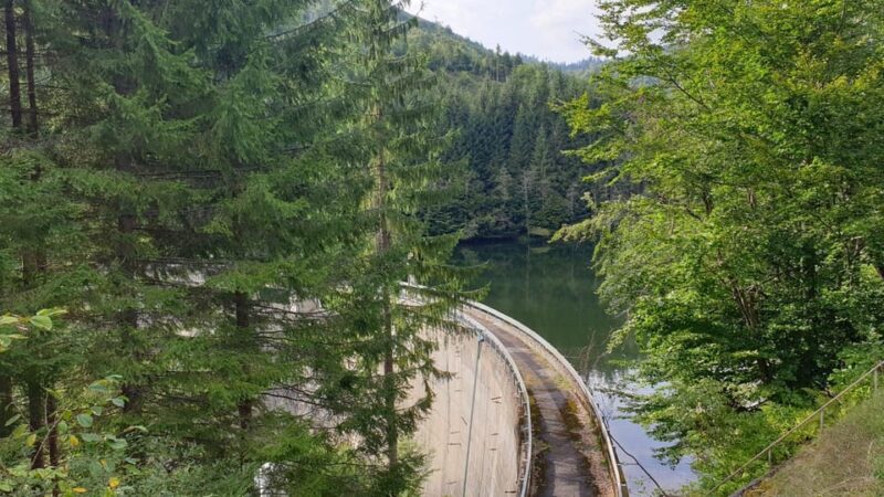 From Bucharest: Brdetu 4x4 Tour with Lunch, Hotel Pick-Up - Choosing Your Route and Customizing the Day