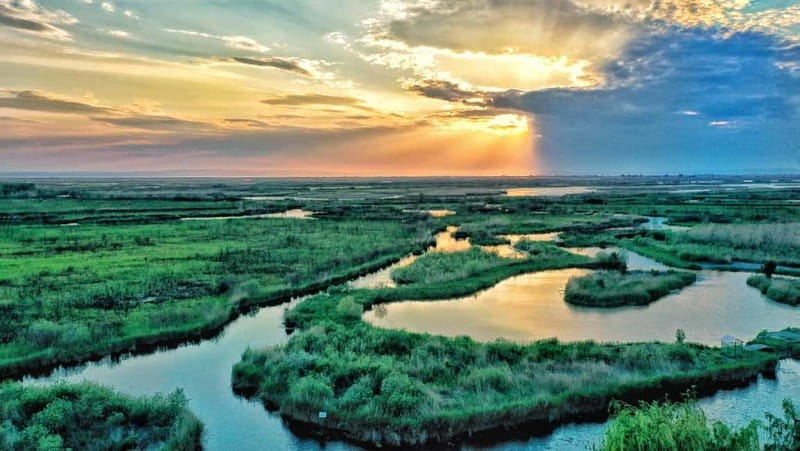 From Bucharest: Danube Delta Private Day Trip with Boat Tour - Key Points