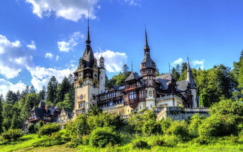 From Bucharest: Day Trip to Dracula and Peles Castle - Lunch and Cultural Insights