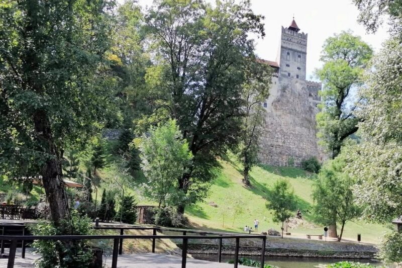 From Bucharest: Dracula's Castle & Bear Sanctuary Adventure - What’s Not Included and Practical Tips