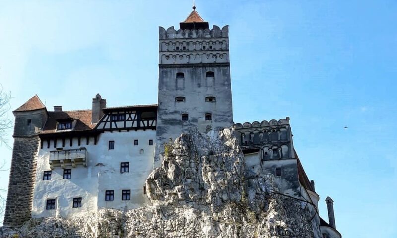 From Bucharest: Dracula's Castle & Bear Sanctuary Adventure - Why This Tour Is a Strong Choice for Travelers