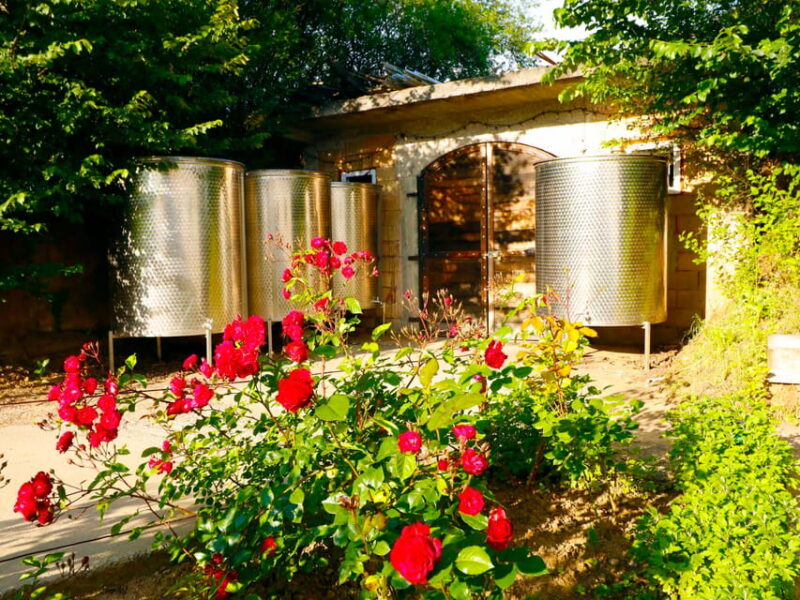 From Bucharest: Exclusive Dealu Mare Wine Tasting Tour - Who Should Consider This Tour