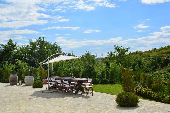From Bucharest: Exclusive Wine Tasting Tour in Dealu Mare - Exploring 1000 Faces Winery and Sampling Local Flavors