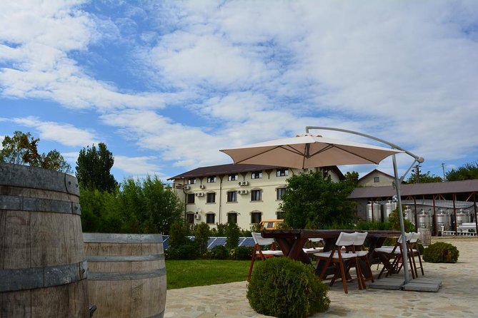 From Bucharest: Exclusive Wine Tasting Tour in Dealu Mare - The Delight of Romanian Cuisine and Wine Pairings
