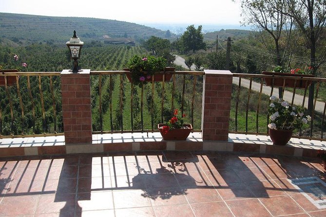 From Bucharest: Exclusive Wine Tasting Tour in Dealu Mare - Flexibility with Optional Lunch and Booking Tips