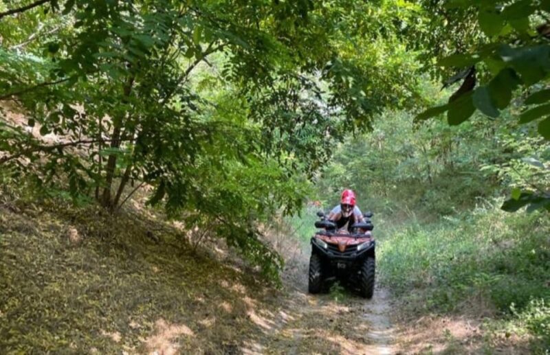 From Bucharest: Forest and Hills ATV Quad Bike Tour - Expert Guides and Friendly Service