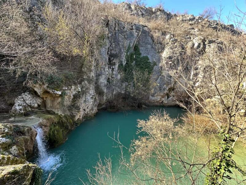 From Bucharest: Full-Day Trip to Bulgaria Highlights - Practical Details and Logistics