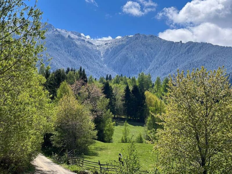 From Bucharest: Off-Road in the Carpathian Mountains - Visiting Bran Castle: A Historic Icon and Photo Stop