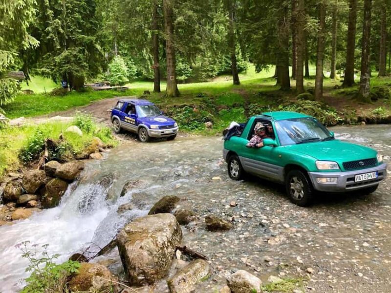 From Bucharest: Off-Road in the Carpathian Mountains - Physical Requirements and Restrictions