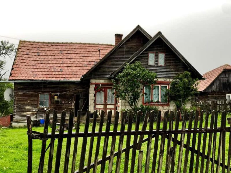 From Bucharest: Off-Road Tour in the Carpathian Mountains - The Vehicles: Jeep and Buggy Options for Off-Road Thrills