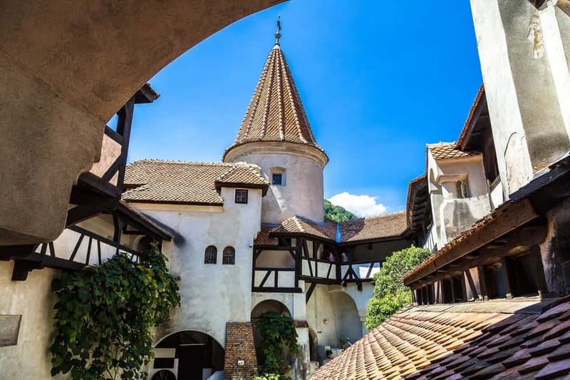 From Bucharest: Peles Castle, Brasov & Bran Castle Day Trip - The Guides and Their Personalities