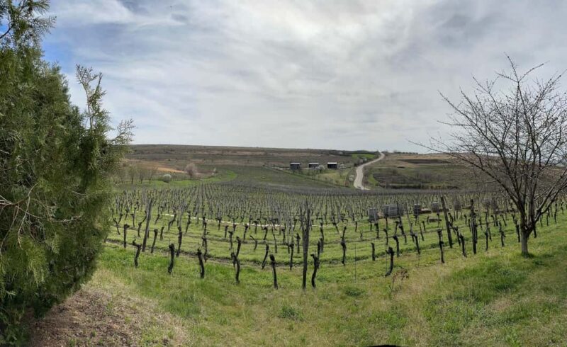 From Bucharest: Prahova Salt Mine and Wine Tasting Tour - Practical Logistics: Pickup, Duration, and Preparation