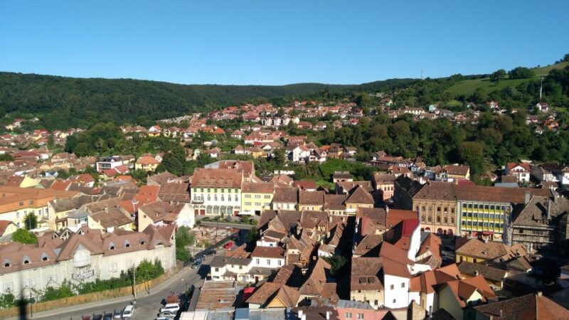 From Bucharest: Private 6-Day Dracula Tour in Transylvania - The Logistics and Guide Expertise