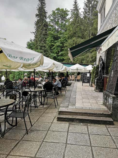 From Bucharest: Private tour to Peles Castle 6 Hours - Inside Peles Castle: Over 170 Rooms of Royal Elegance