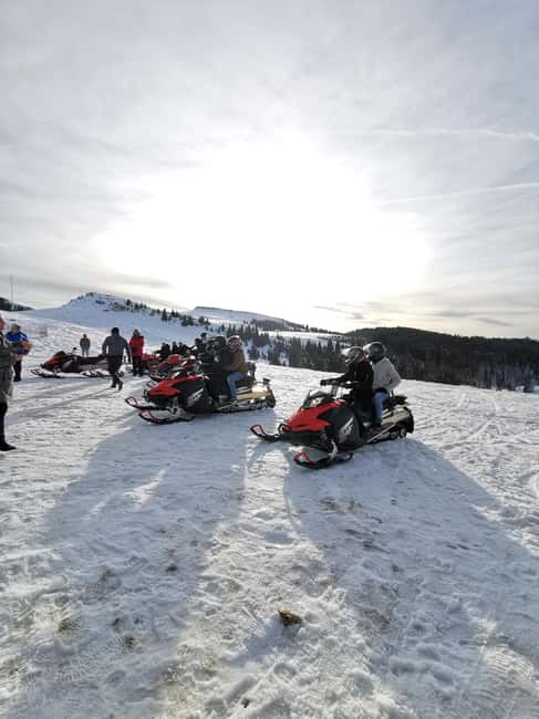 From Bucharest: Snowmobile Tour in the Carpathian Mountains - From Bucharest: Snowmobile Tour in the Carpathian Mountains - An Action-Packed Day Trip