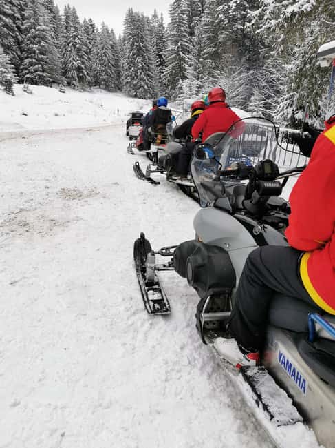 From Bucharest: Snowmobile Tour in the Carpathian Mountains - Key Points