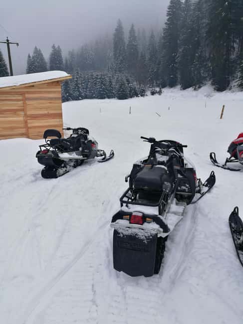 From Bucharest: Snowmobile Tour in the Carpathian Mountains - Riding Options: Snowmobile, ATV, or Buggy